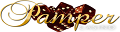 Pamper Casino Testbericht